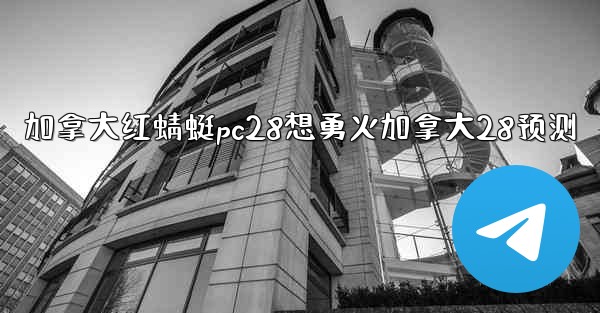 加拿大红蜻蜓pc28想勇火加拿大28预测